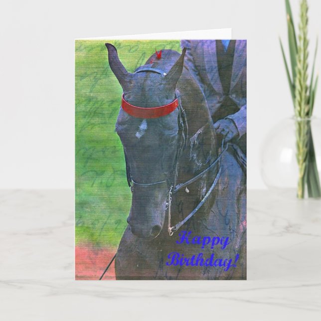 Carte Anniversaire Saddlebred (Devant)