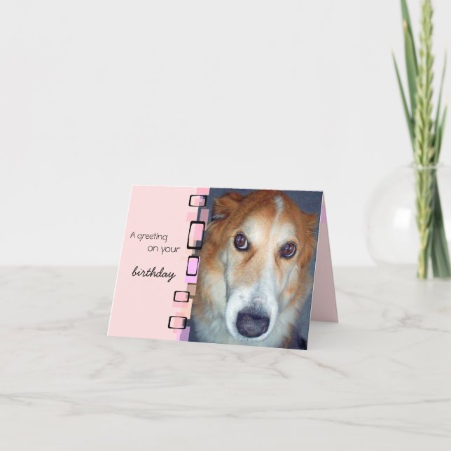 Carte Anniversaire Salutation Frontière Collie (Devant)