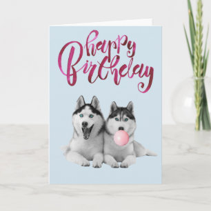 Carte Anniversaire Sibérie Husky Chien Animal Bubble Gum
