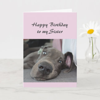 Carte Anniversaire Soeur Fun Chien définition de Relax H
