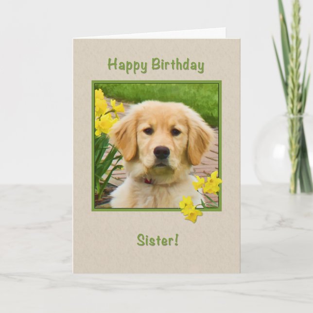 Carte Anniversaire, Soeur, Golden Retriever Dog, Daffodi (Devant)