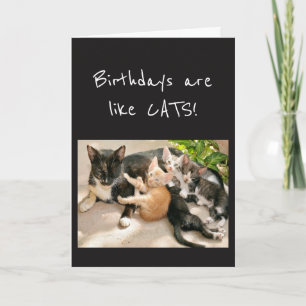 Carte Anniversaire sont comme Chats Humour animal