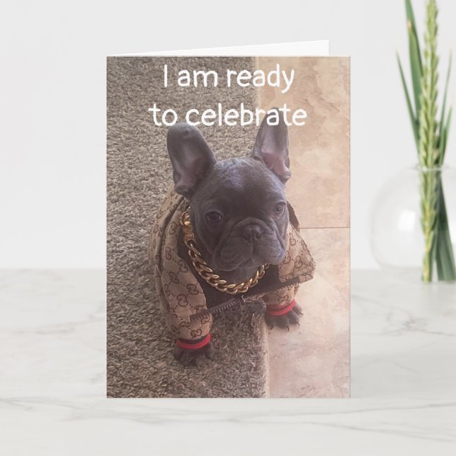 CARTE ANNIVERSAIRE SOUHAITE D'UN CHIEN COOL (Devant)