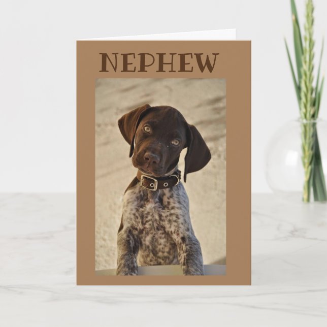 CARTE ANNIVERSAIRE SOUHAITE **NEPHEW** CARD (Devant)