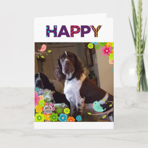 CARTE ANNIVERSAIRE SOUHAITEZ AVEC UNE **SURPRISE À L'INT