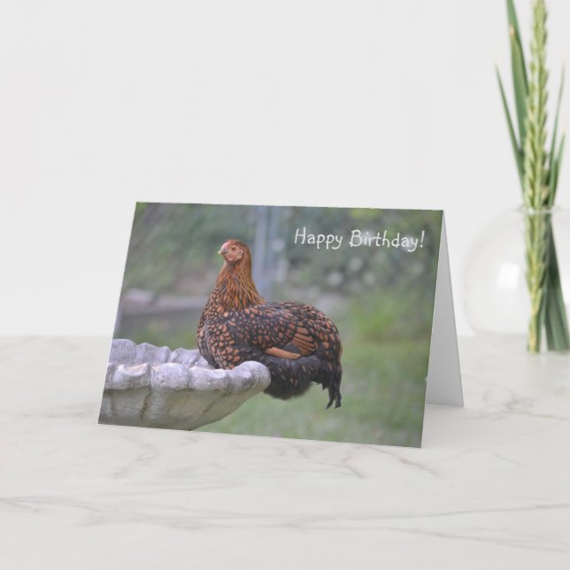 Carte Anniversaire spécial poulet (Devant)