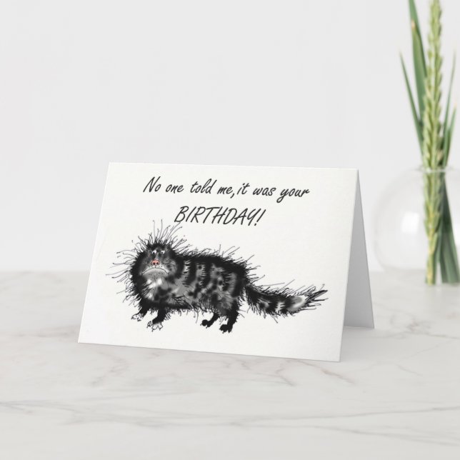 Carte Anniversaire tardif, chatte grincheuse. (Devant)