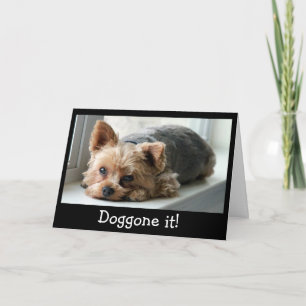 Carte Anniversaire tardif de chiot triste de Yorkie