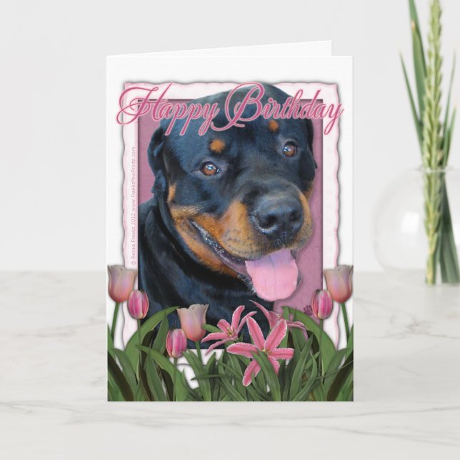 Carte Anniversaire - tulipes roses - rottweiler - Harley (Devant)