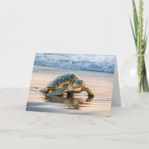 Carte Anniversaire Turtle Walking Sur une plage