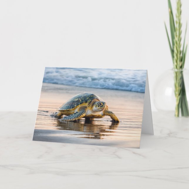 Carte Anniversaire Turtle Walking Sur une plage (Devant)