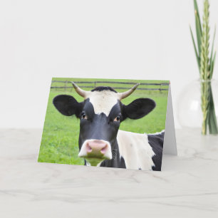 Carte Anniversaire Vache Holstein En Pâturage