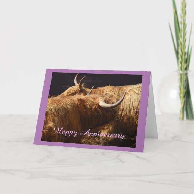Carte Anniversaire Vaches Highland (Devant)