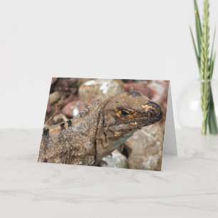 Carte Anniversaire Vieux Lizard