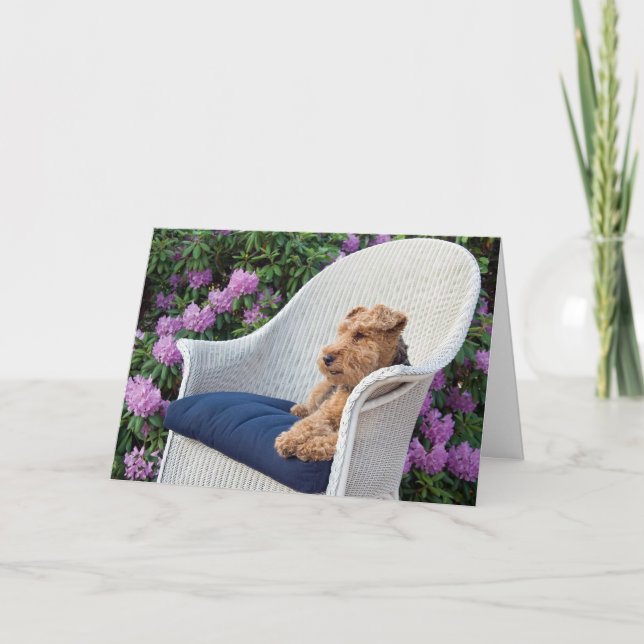 Carte Anniversaire Welsh Terrier sur le fauteuil (Devant)