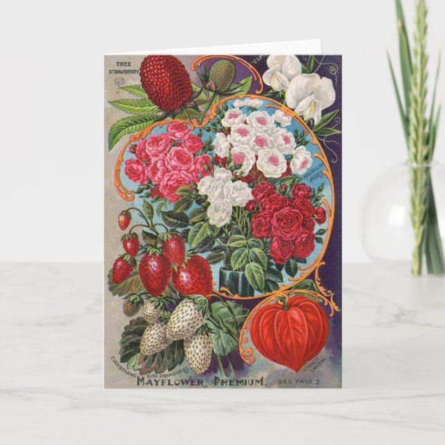Carte Annonce Vintage pour les paquets de semences, (Devant)