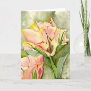 Carte "Anticipation" pour bénéficier Kairos dehors