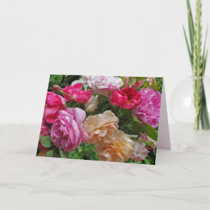 Carte Antique Rose