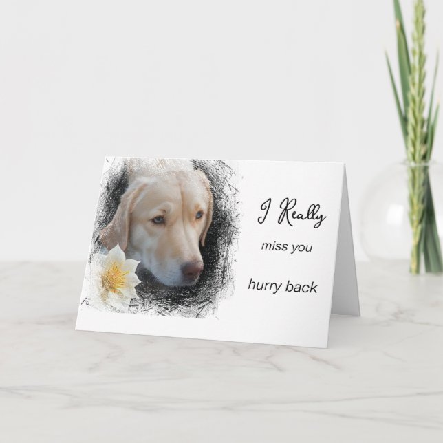 Carte *~  AP61 Flower Miss You - Chien Triste (Devant)