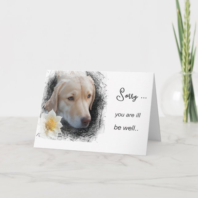 Carte *~ AP61 Flower Sick Get Well Sad Chien (Devant)