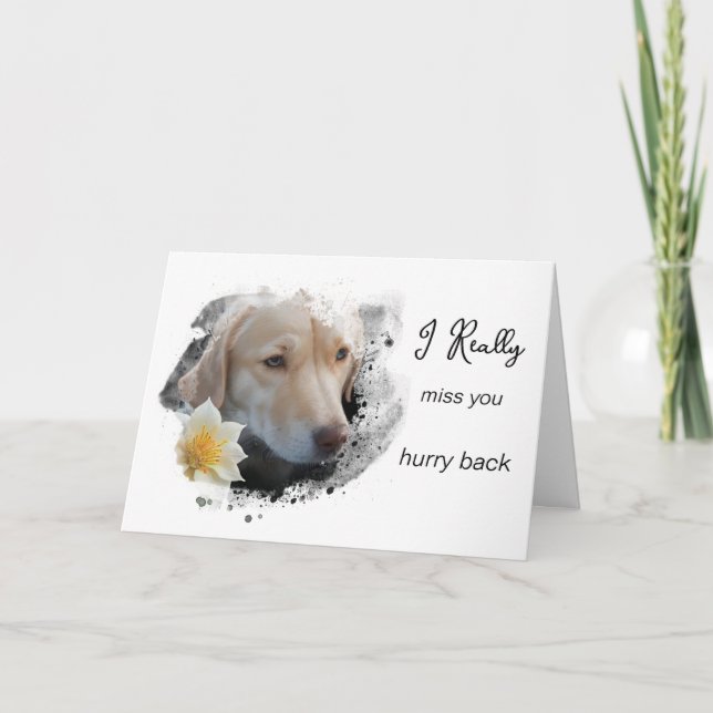 Carte *~ AP61 Triste Lab Retriever Fleur T'attends Vite (Devant)