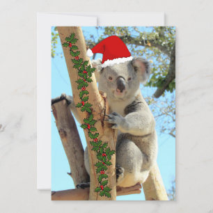 Carte Appartement de Noël Koala