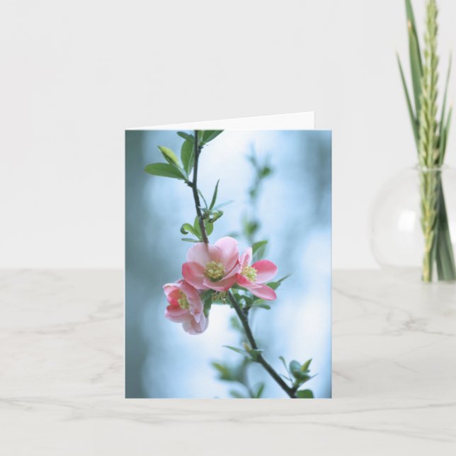 Carte Apple Blossom #P0365 (Devant)