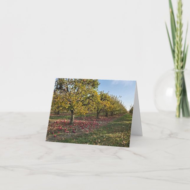 Carte Apple Orchard (Devant)