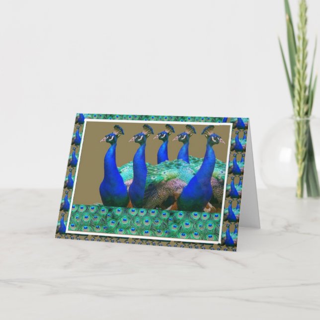 Carte Appréciez :  Le paon n fait varier le pas des (Devant)