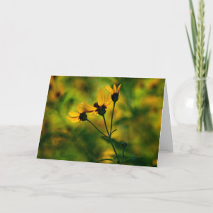 Carte Approche automne