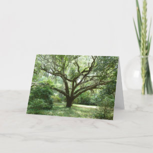 Carte Après-midi d'été de Bluffton