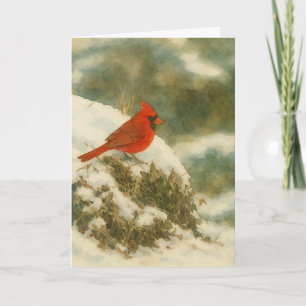 Carte Aquarelle cardinale d'hiver_1