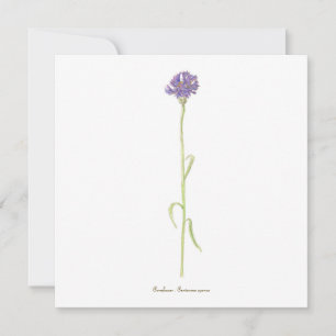 Carte Aquarelle de Cornflower