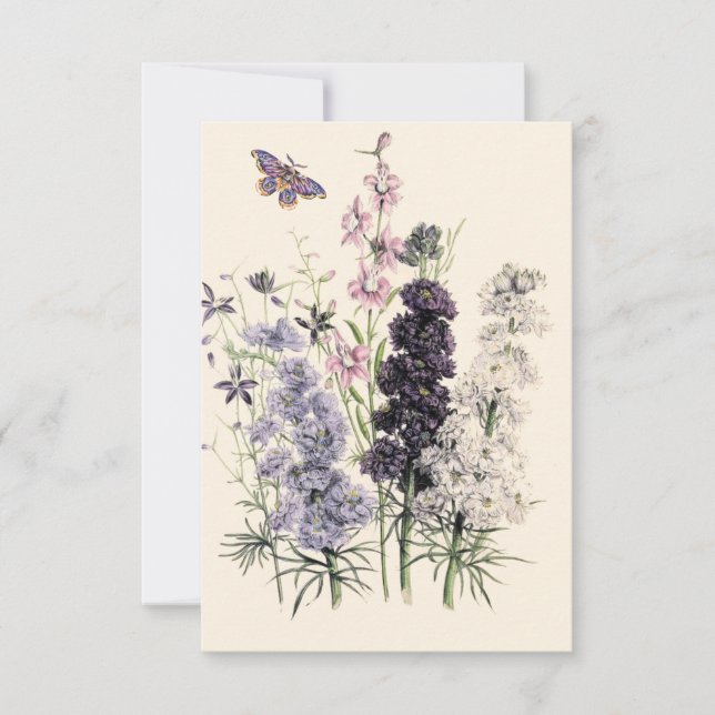Carte Aquarelle Fleurs de jardin violettes, papillon  (Devant)