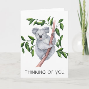 Carte Aquarelle Koala Ours Pense À Vous