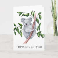 Aquarelle Koala Ours Penser À Vous