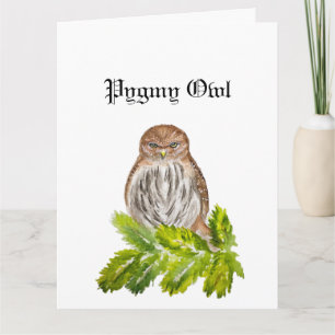 Carte Aquarelle Saw Whet Cute Little Owls