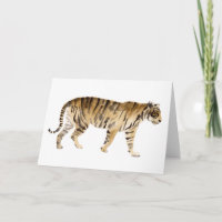 Aquarelle Tigre Marcher