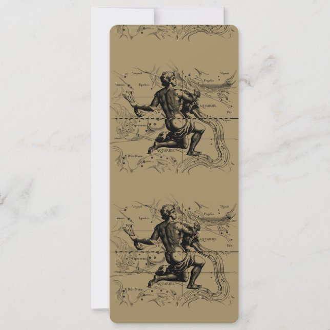 Carte Aquarius Constellation Hevelius 1690 sur Tau (Devant)