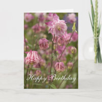 Aquilegia rose...carte