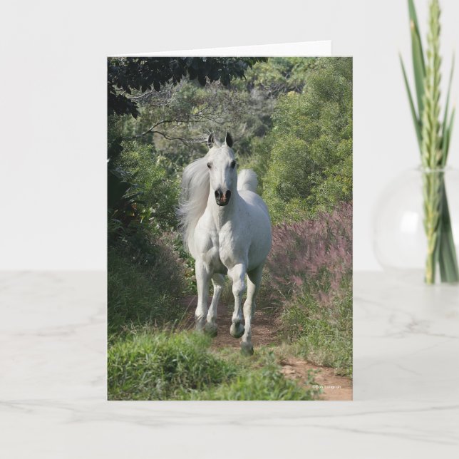 Carte Arabe Gris Courant Sur Le Chemin Avec Fleurs (Devant)