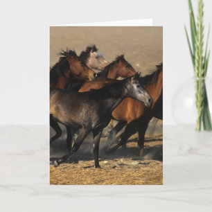 Carte Arabes courant dans le désert