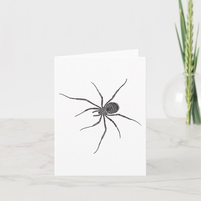 Carte Araignée noire aux longues pattes arachnide effray (Créateur téléchargé)