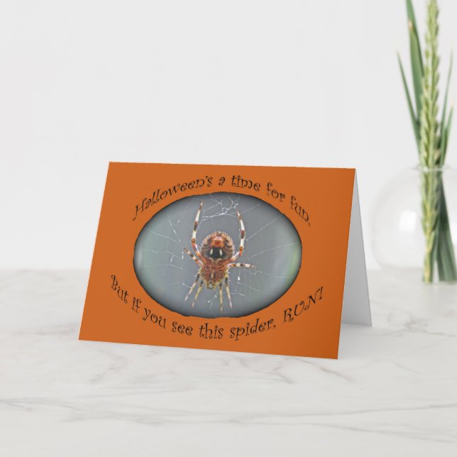 Carte Araneus Orb Weaver Spider Halloween Card (Devant)