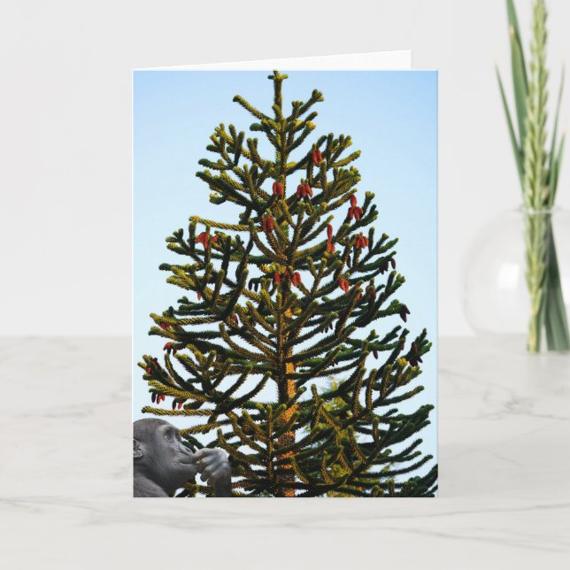 Carte Araucaria du Chili. (Devant)