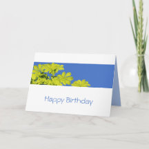 Arboriste : Arbre grimpeur vert feuilles