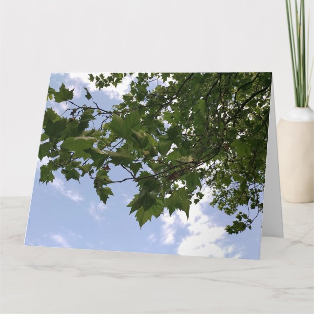 Carte Arbre (Devant)