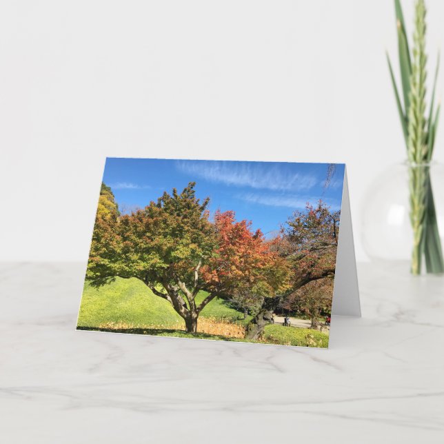 Carte Arbre à érable coloré en automne (Devant)