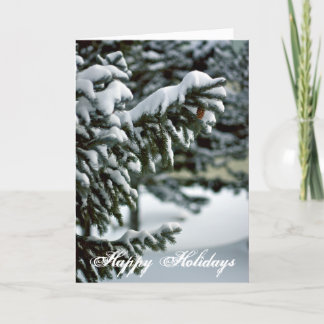 Carte Arbre À feuillage persistant Neige