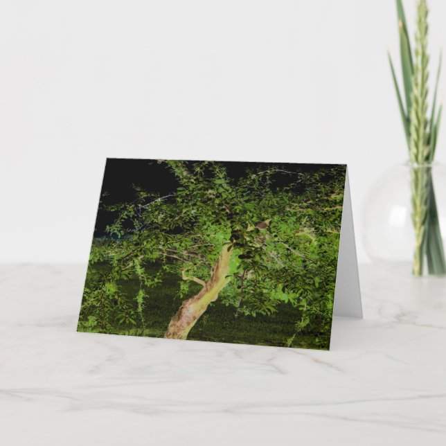 Carte Arbre Apple : Numériquement Arbre Twisted Modifié (Devant)